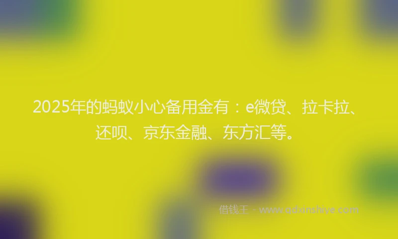 2025年的蚂蚁小心备用金有：e微贷、拉卡拉、还呗、京东金融、东方汇等。