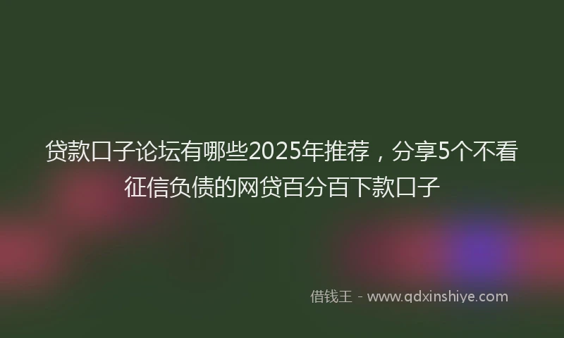 贷款口子论坛有哪些2025年推荐，分享5个不看征信负债的网贷百分百下款口子