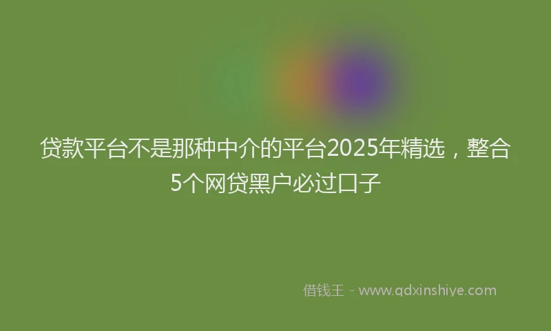 贷款平台不是那种中介的平台2025年精选，整合5个网贷黑户必过口子