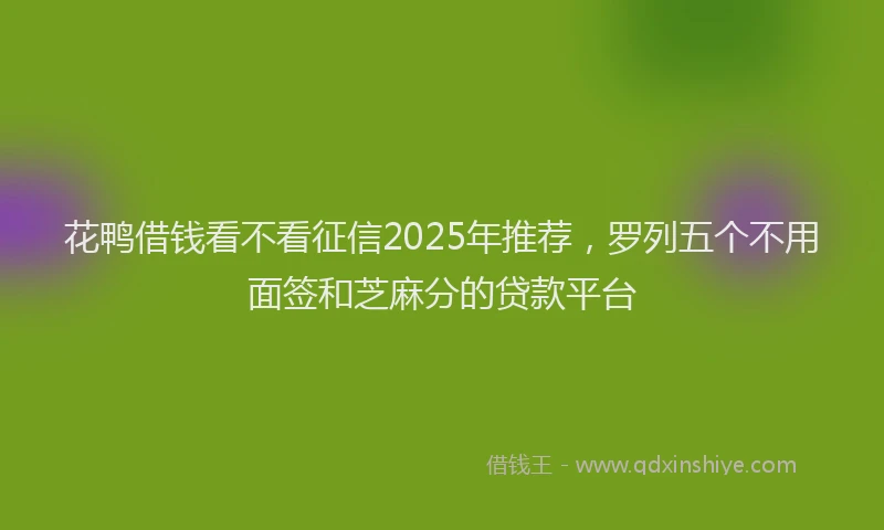 花鸭借钱看不看征信2025年推荐，罗列五个不用面签和芝麻分的贷款平台