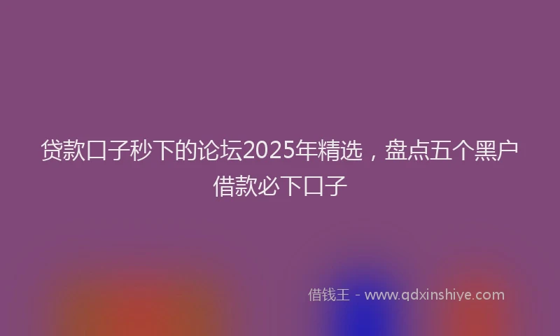 贷款口子秒下的论坛2025年精选，盘点五个黑户借款必下口子