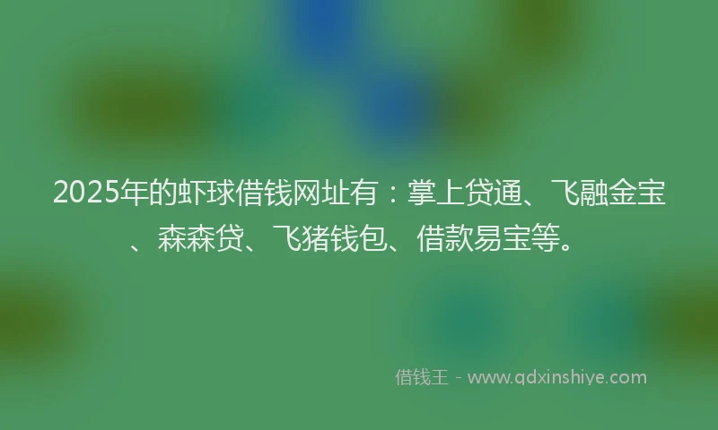 2025年的虾球借钱网址有：掌上贷通、飞融金宝、森森贷、飞猪钱包、借款易宝等。