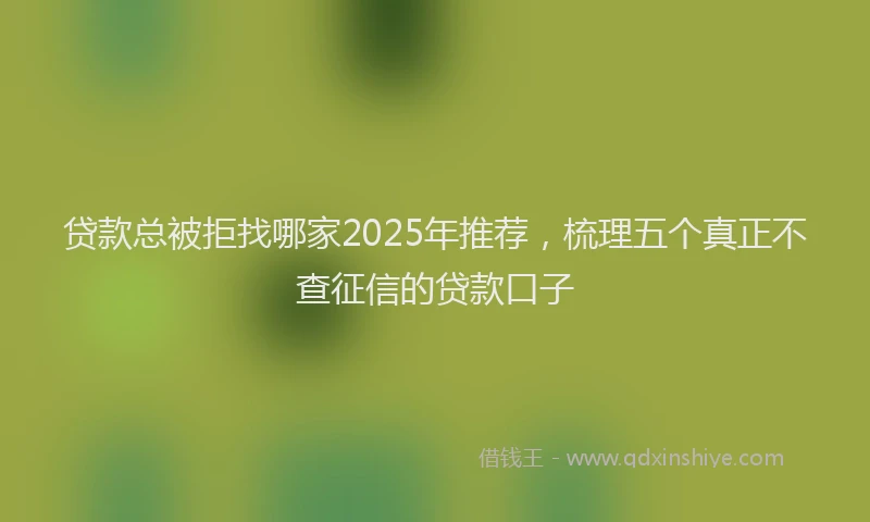 贷款总被拒找哪家2025年推荐，梳理五个真正不查征信的贷款口子