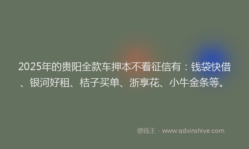 2025年的贵阳全款车押本不看征信有：钱袋快借、银河好租、桔子买单、浙享花、小牛金条等。