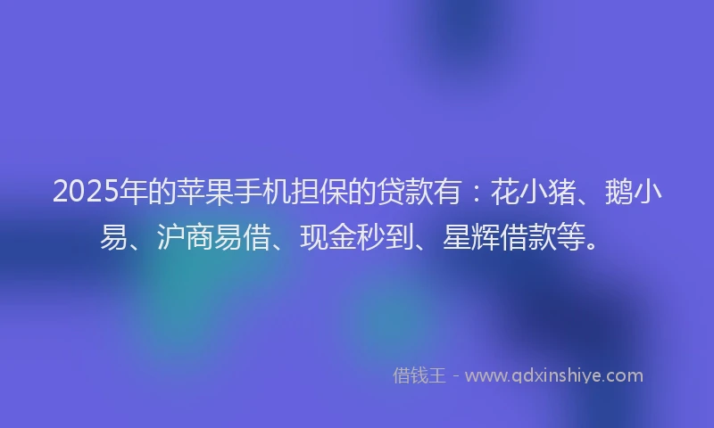 2025年的苹果手机担保的贷款有：花小猪、鹅小易、沪商易借、现金秒到、星辉借款等。