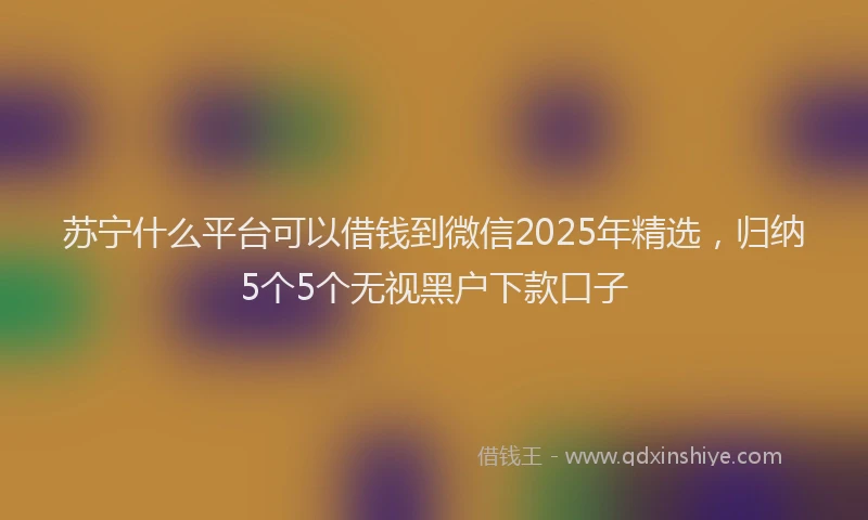 苏宁什么平台可以借钱到微信2025年精选，归纳5个5个无视黑户下款口子