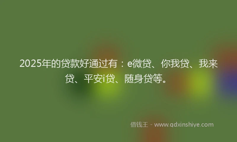2025年的贷款好通过有：e微贷、你我贷、我来贷、平安i贷、随身贷等。