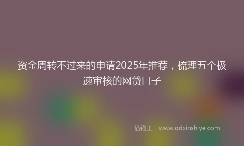 资金周转不过来的申请2025年推荐，梳理五个极速审核的网贷口子