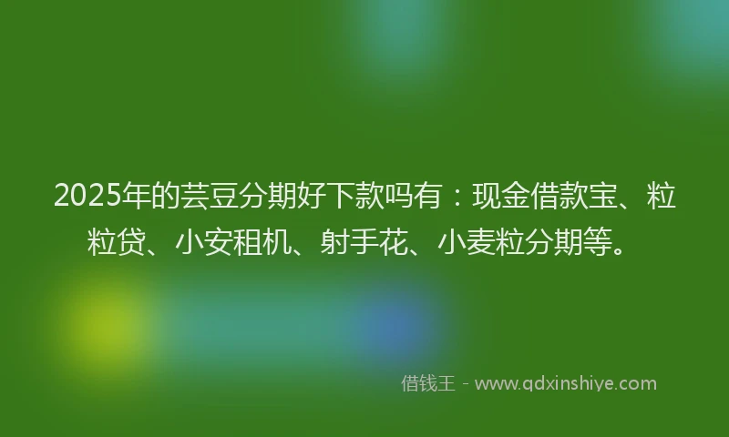 2025年的芸豆分期好下款吗有：现金借款宝、粒粒贷、小安租机、射手花、小麦粒分期等。