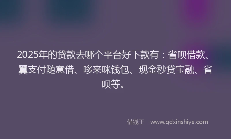 2025年的贷款去哪个平台好下款有：省呗借款、翼支付随意借、哆来咪钱包、现金秒贷宝融、省呗等。