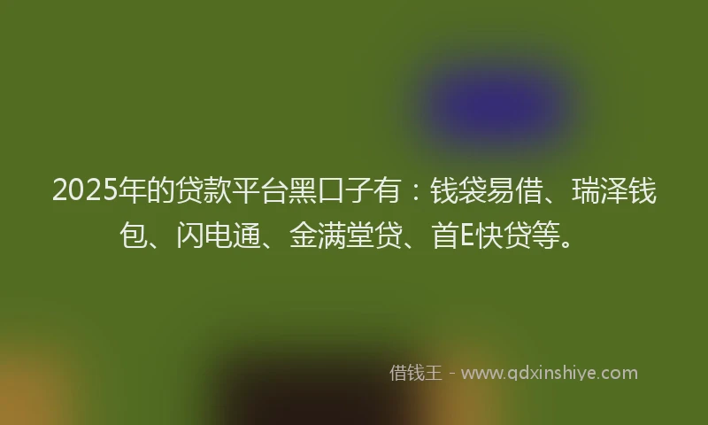 2025年的贷款平台黑口子有：钱袋易借、瑞泽钱包、闪电通、金满堂贷、首E快贷等。