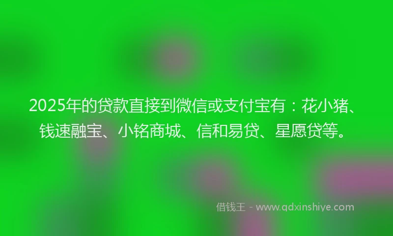 2025年的贷款直接到微信或支付宝有：花小猪、钱速融宝、小铭商城、信和易贷、星愿贷等。