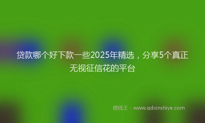 贷款哪个好下款一些2025年精选，分享5个真正无视征信花的平台
