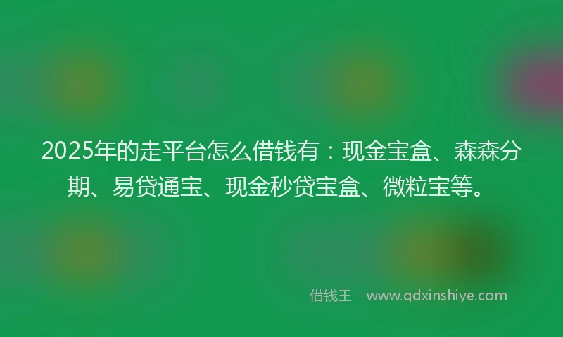 2025年的走平台怎么借钱有：现金宝盒、森森分期、易贷通宝、现金秒贷宝盒、微粒宝等。
