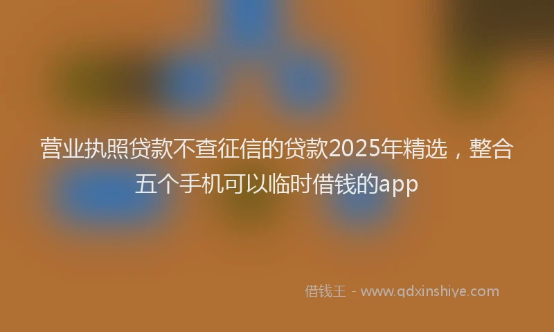 营业执照贷款不查征信的贷款2025年精选，整合五个手机可以临时借钱的app