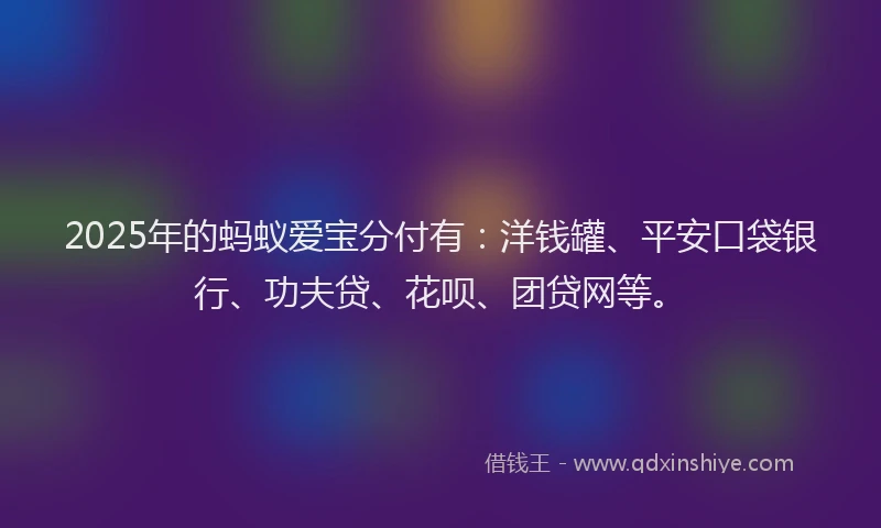 2025年的蚂蚁爱宝分付有：洋钱罐、平安口袋银行、功夫贷、花呗、团贷网等。