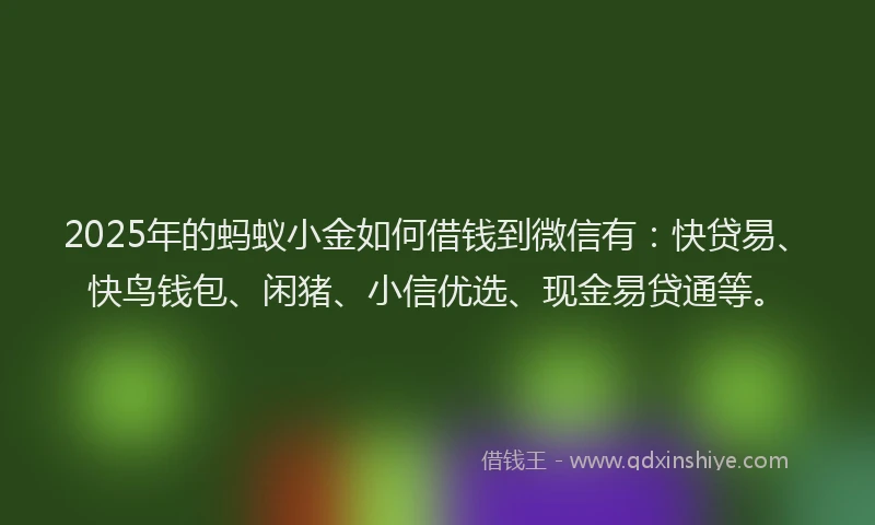 2025年的蚂蚁小金如何借钱到微信有：快贷易、快鸟钱包、闲猪、小信优选、现金易贷通等。