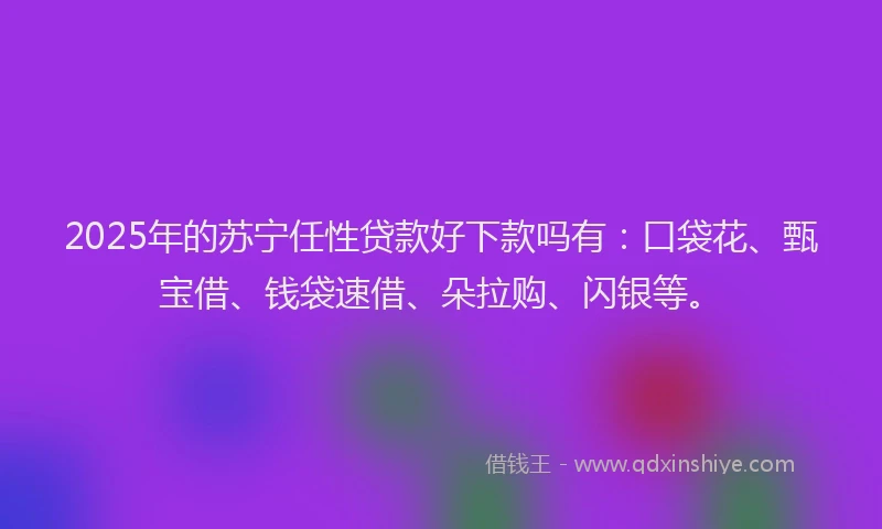 2025年的苏宁任性贷款好下款吗有：口袋花、甄宝借、钱袋速借、朵拉购、闪银等。