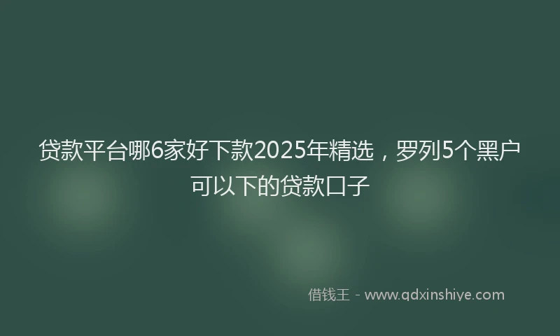 贷款平台哪6家好下款2025年精选，罗列5个黑户可以下的贷款口子