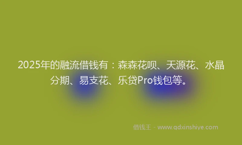 2025年的融流借钱有：森森花呗、天源花、水晶分期、易支花、乐贷Pro钱包等。