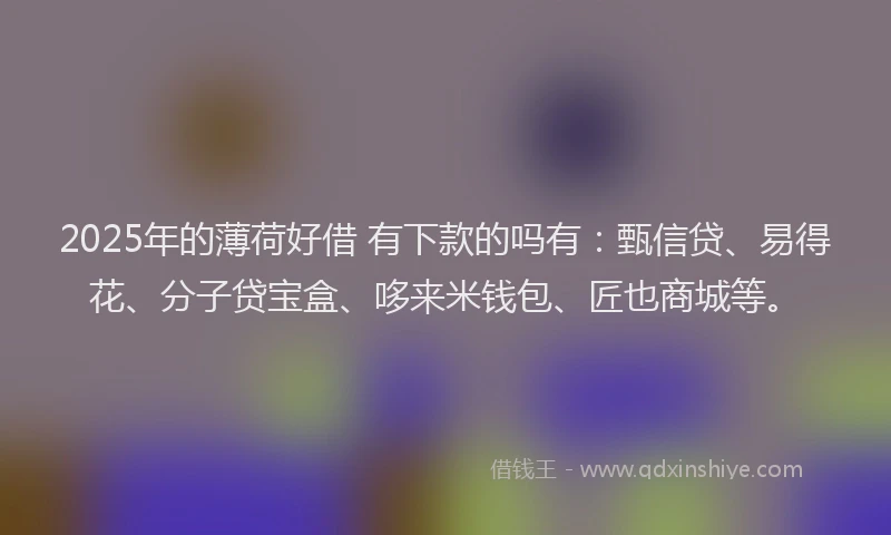 2025年的薄荷好借 有下款的吗有：甄信贷、易得花、分子贷宝盒、哆来米钱包、匠也商城等。