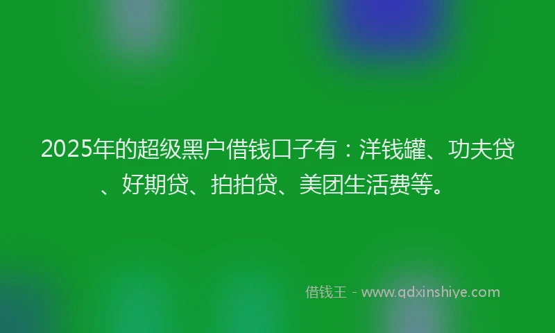 2025年的超级黑户借钱口子有：洋钱罐、功夫贷、好期贷、拍拍贷、美团生活费等。