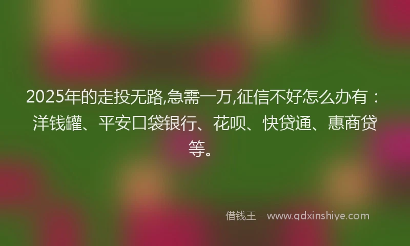 2025年的走投无路,急需一万,征信不好怎么办有：洋钱罐、平安口袋银行、花呗、快贷通、惠商贷等。