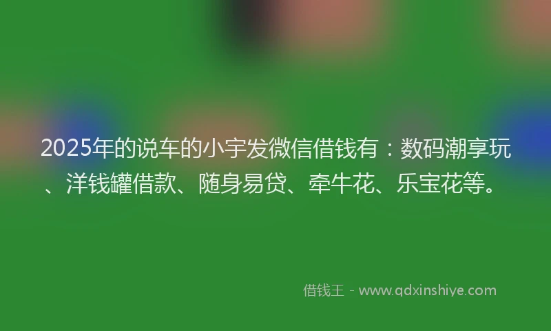 2025年的说车的小宇发微信借钱有：数码潮享玩、洋钱罐借款、随身易贷、牵牛花、乐宝花等。