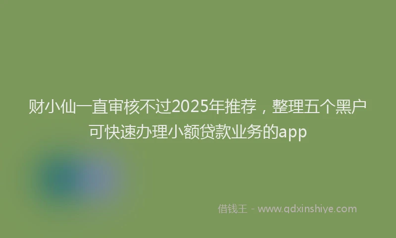 财小仙一直审核不过2025年推荐，整理五个黑户可快速办理小额贷款业务的app