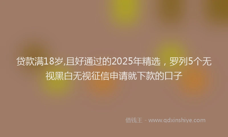 贷款满18岁,且好通过的2025年精选，罗列5个无视黑白无视征信申请就下款的口子