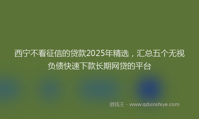 西宁不看征信的贷款2025年精选，汇总五个无视负债快速下款长期网贷的平台