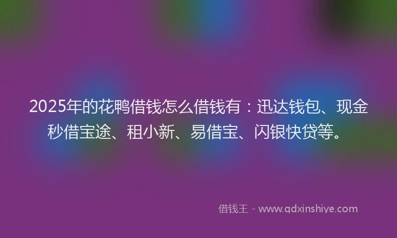 2025年的花鸭借钱怎么借钱有：迅达钱包、现金秒借宝途、租小新、易借宝、闪银快贷等。