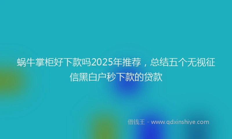 蜗牛掌柜好下款吗2025年推荐，总结五个无视征信黑白户秒下款的贷款