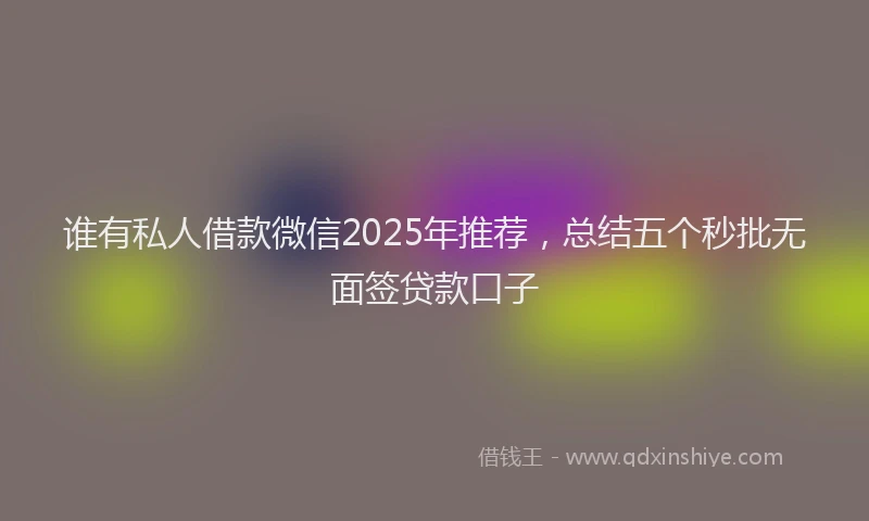 谁有私人借款微信2025年推荐，总结五个秒批无面签贷款口子