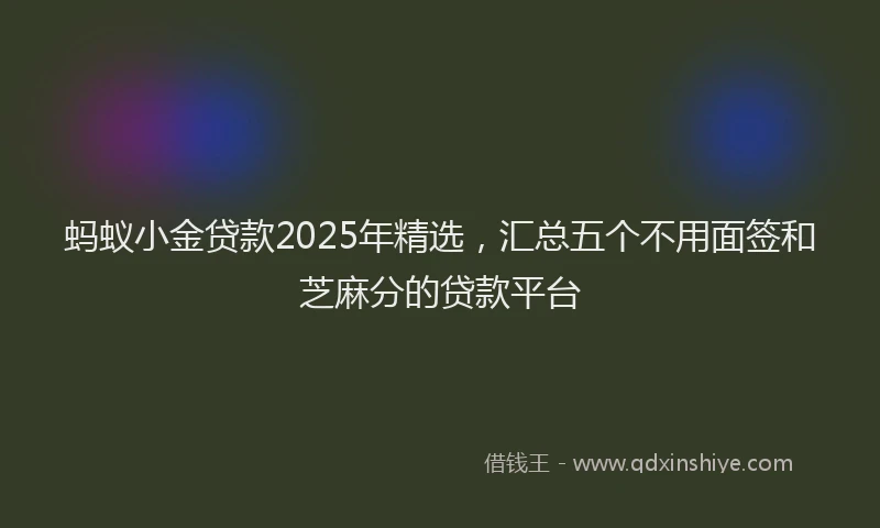 蚂蚁小金贷款2025年精选，汇总五个不用面签和芝麻分的贷款平台