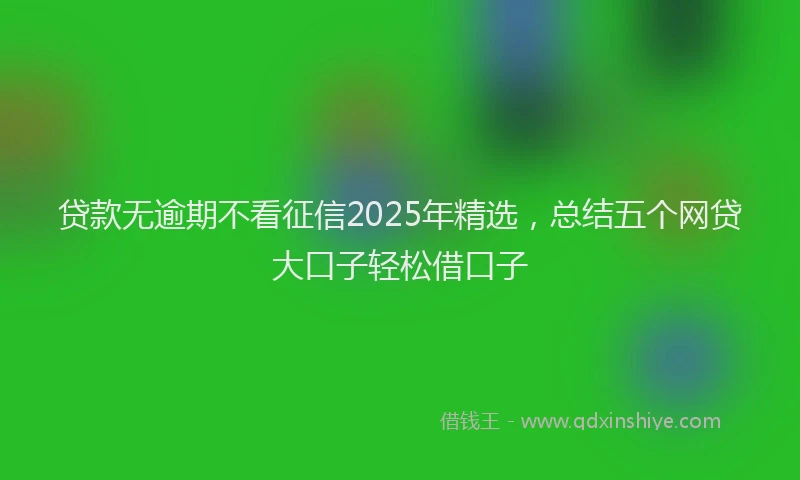 贷款无逾期不看征信2025年精选，总结五个网贷大口子轻松借口子