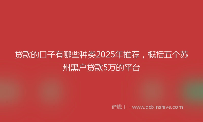 贷款的口子有哪些种类2025年推荐，概括五个苏州黑户贷款5万的平台