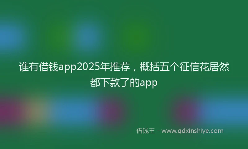 谁有借钱app2025年推荐，概括五个征信花居然都下款了的app
