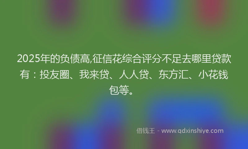 2025年的负债高,征信花综合评分不足去哪里贷款有：投友圈、我来贷、人人贷、东方汇、小花钱包等。