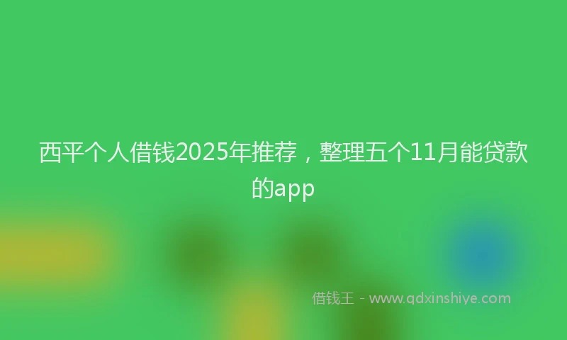 西平个人借钱2025年推荐，整理五个11月能贷款的app