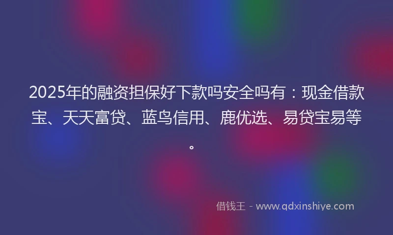 2025年的融资担保好下款吗安全吗有：现金借款宝、天天富贷、蓝鸟信用、鹿优选、易贷宝易等。