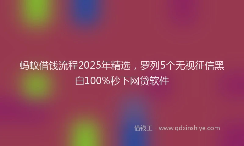 蚂蚁借钱流程2025年精选，罗列5个无视征信黑白100%秒下网贷软件