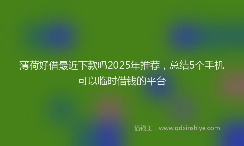 薄荷好借最近下款吗2025年推荐，总结5个手机可以临时借钱的平台