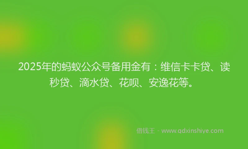 2025年的蚂蚁公众号备用金有：维信卡卡贷、读秒贷、滴水贷、花呗、安逸花等。