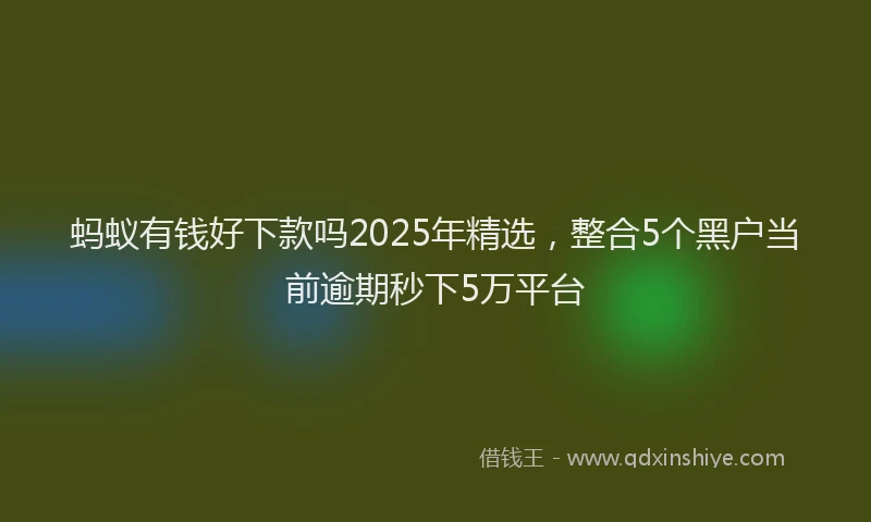 蚂蚁有钱好下款吗2025年精选，整合5个黑户当前逾期秒下5万平台