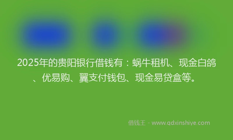 2025年的贵阳银行借钱有：蜗牛租机、现金白鸽、优易购、翼支付钱包、现金易贷盒等。