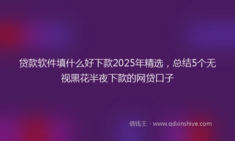 贷款软件填什么好下款2025年精选，总结5个无视黑花半夜下款的网贷口子