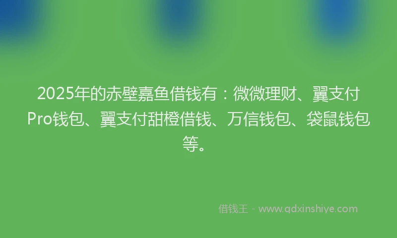 2025年的赤壁嘉鱼借钱有：微微理财、翼支付Pro钱包、翼支付甜橙借钱、万信钱包、袋鼠钱包等。