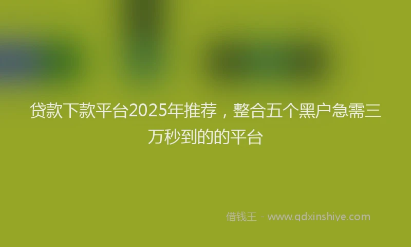 贷款下款平台2025年推荐，整合五个黑户急需三万秒到的的平台