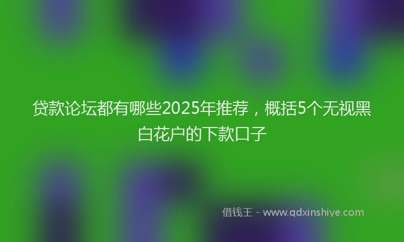 贷款论坛都有哪些2025年推荐，概括5个无视黑白花户的下款口子